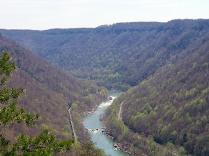 twitter river